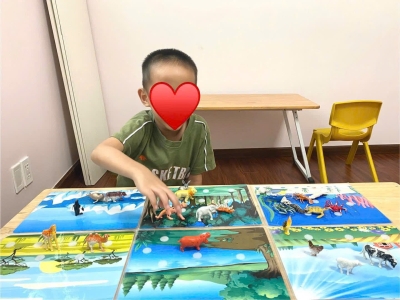 TẠI SAO BỐ MẸ NÊN DẠY BÉ HỌC CÁC CON VẬT TỪ SỚM?