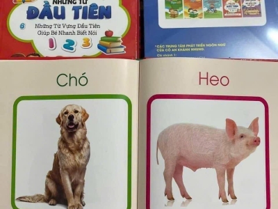 Hướng dẫn bật âm qua sách